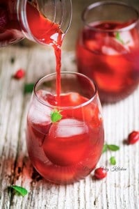 Cranberry-Mojito-H1