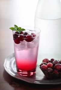 CranberryNGin-800px-SimiJois