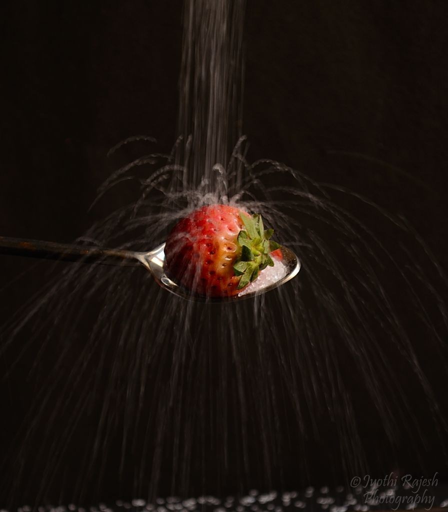 DSC_0955_445-896x1024