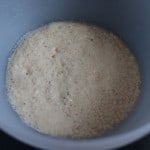Garlic Naan with Yeast Prep