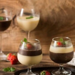 layered dessert cups of chocolate and vanilla panna cotta
