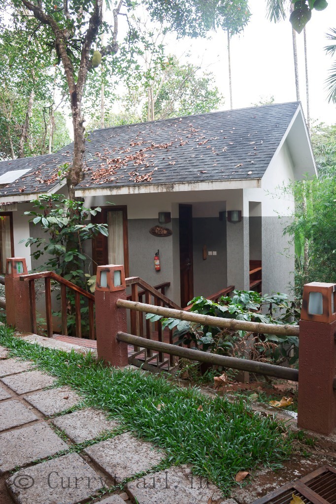 Trip to Wayanad