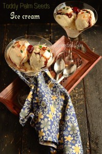 Toddy Palm Ice Cream