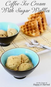 coffee-ice-cream-with-sugar-waffles