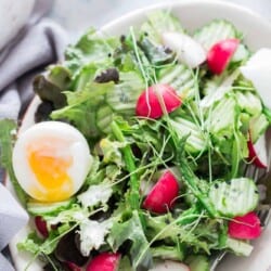fresh spring salad made from fresh spring mix of tender greens