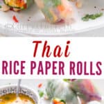 Thai vegetarian summer rolls with mango dipping sauce with text