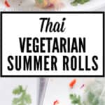 vegetarian summer rolls with mango dipping sauce with text