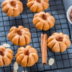 shaped like pumpkin - pumpkin cookies on wire mesh