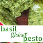 healthy vegan basil walnut pesto in white bowl with text overlay