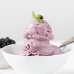 blueberry frozen yogurt in white bowl with a spoon