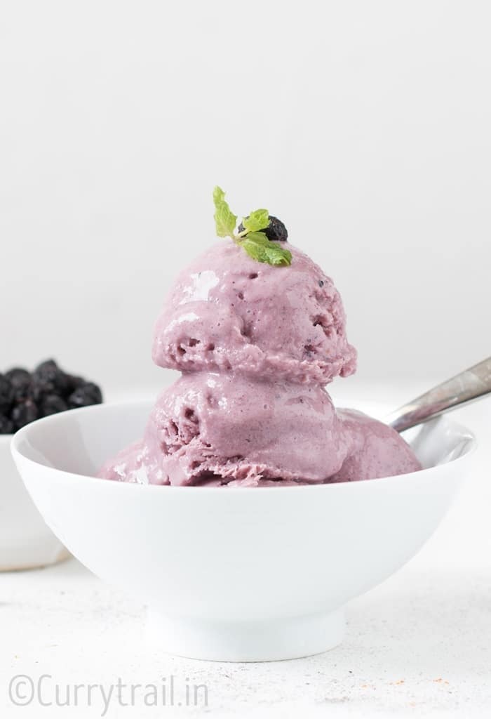 blueberry frozen yogurt in white bowl with a spoon