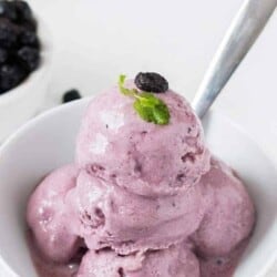 blueberry frozen yogurt in white bowl with a spoon