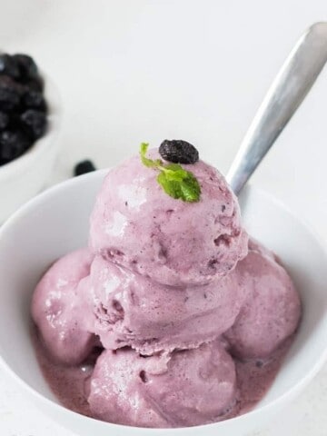 blueberry frozen yogurt in white bowl with a spoon