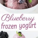 blueberry frozen yogurt in white bowl with a spoon with text overlay