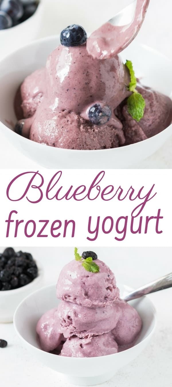 blueberry frozen yogurt in white bowl with a spoon with text overlay