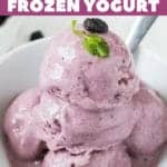 blueberry frozen yogurt in white bowl with a spoon