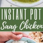 instant pot chicken saag with text overlay