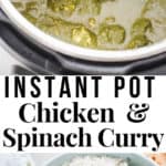 instant pot chicken saag with text overlay