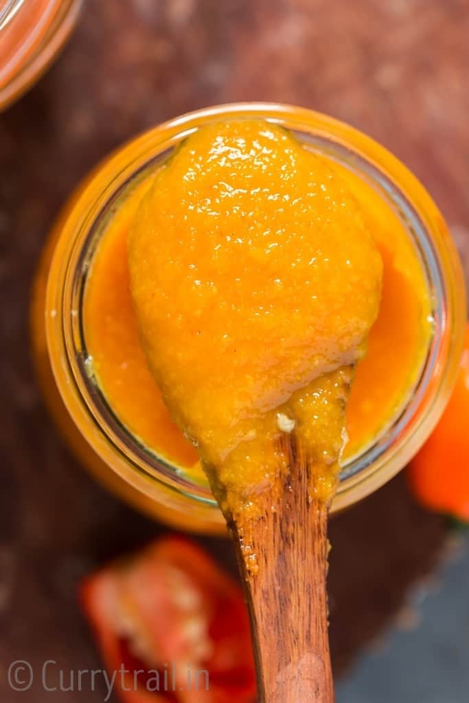 spoonful mango habanero hot sauce