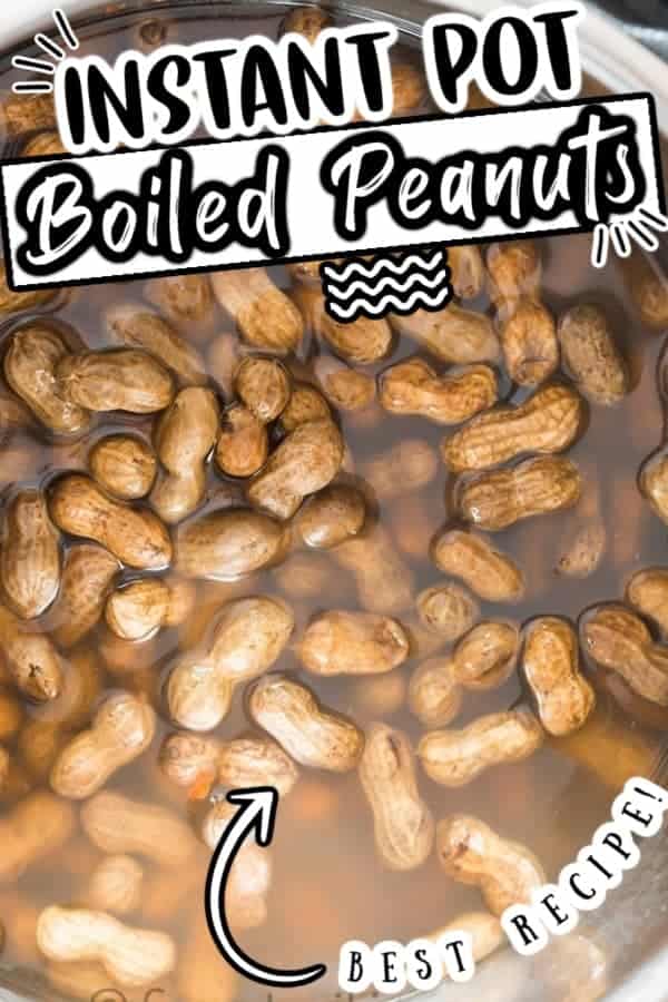 How to Boil Peanuts in Instant Pot (+ 2 Serving Ideas) CurryTrail