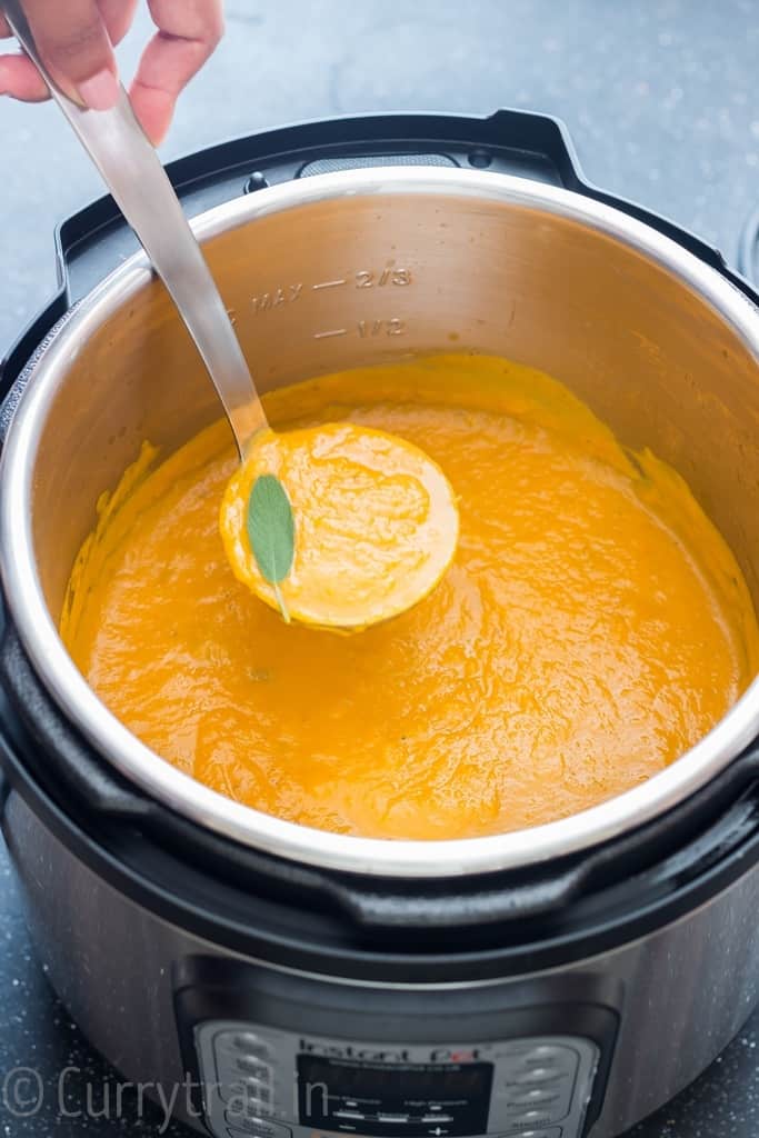 instant pot butternut squash soup