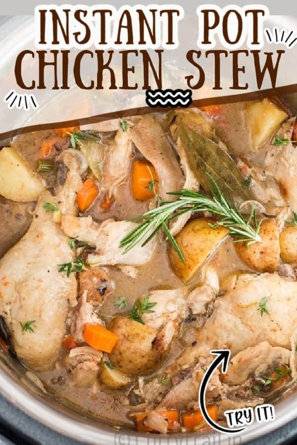 Instant Pot Chicken Stew - CurryTrail