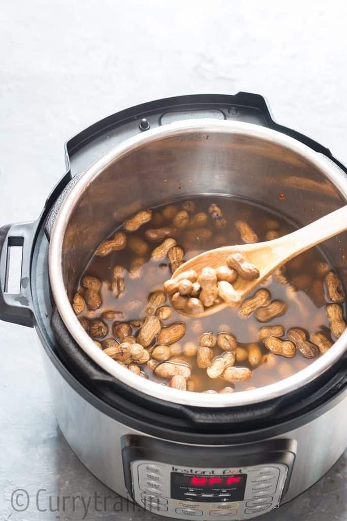 boiled peanuts with shell in instant pot with salt and spices