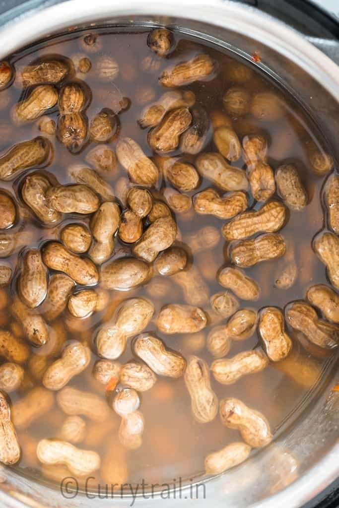 peanuts boiled in instant pot with salt and spices