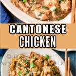 Cantonese chicken with mushrooms with text