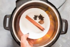 Instant pot spiced apple cider