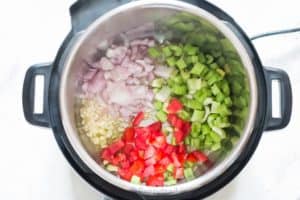 cooking instant pot chicken noodle soup in instant pot