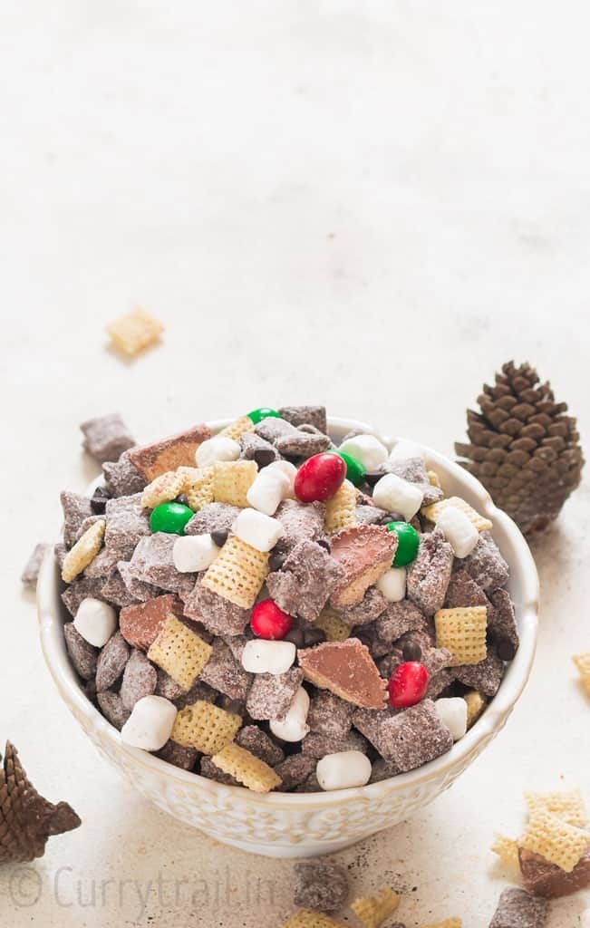 puppy chow in white bowl