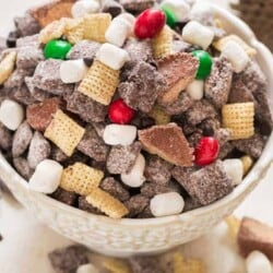 puppy chow in white bowl