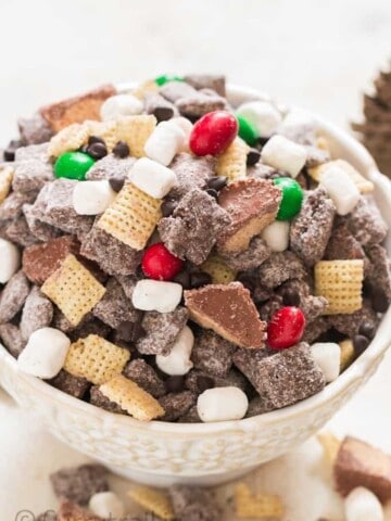 puppy chow in white bowl