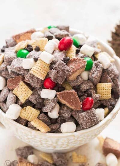 puppy chow in white bowl