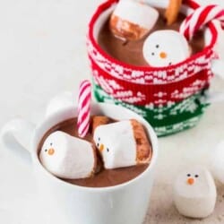 Homemade hot chocolate mix topped with marshmallows and cinnamon