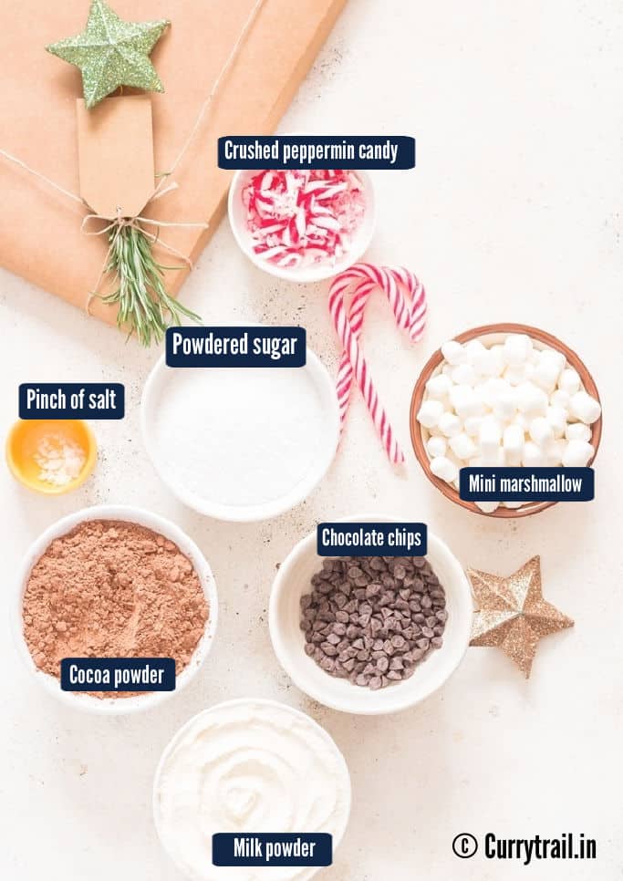 ingredients for hot chocolate mix.