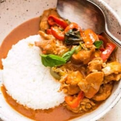 best Thai chicken Panang curry served with steamed rice in white ceramic bowl