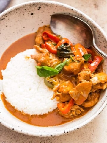 best Thai chicken Panang curry served with steamed rice in white ceramic bowl