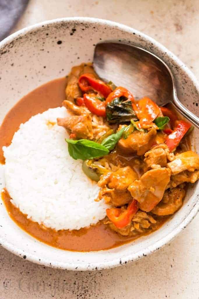 best Thai chicken Panang curry served with steamed rice in white ceramic bowl