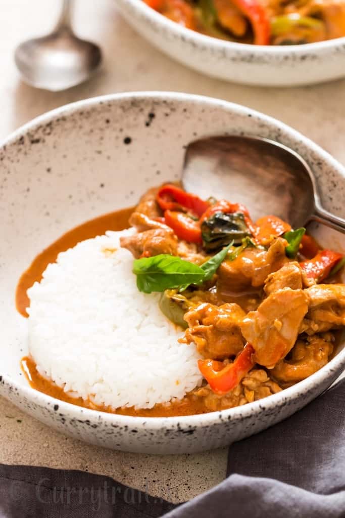 best Thai chicken Panang curry served with steamed rice in white ceramic bowl