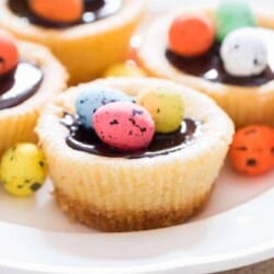 Easter mini cheesecake with dark chocolate and chocolate eggs on top