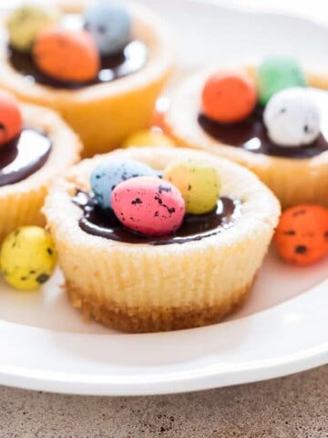 Easter mini cheesecake with dark chocolate and chocolate eggs on top