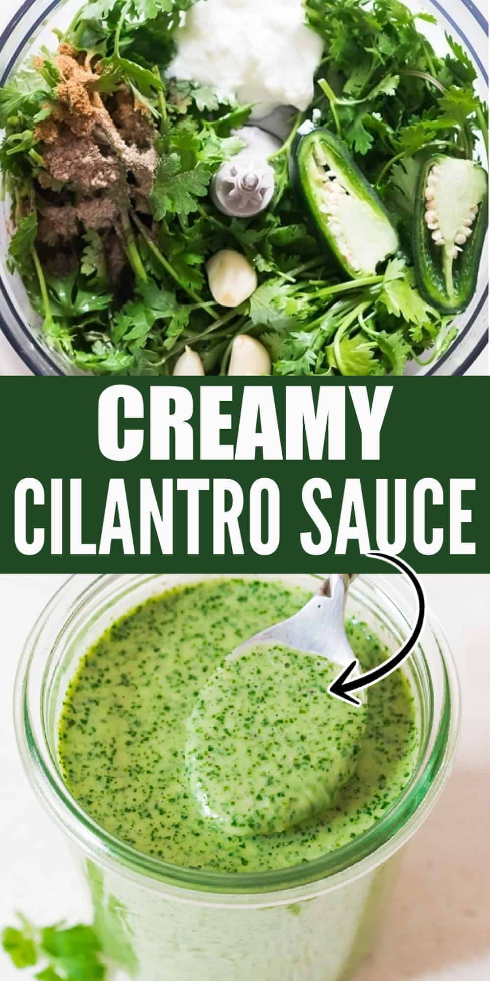 5 Minutes Easy Creamy Cilantro Sauce CurryTrail