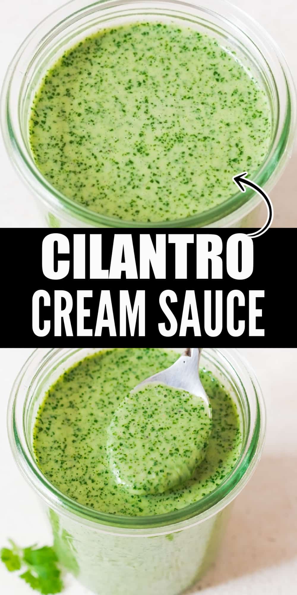 5 Minutes Easy Creamy Cilantro Sauce CurryTrail