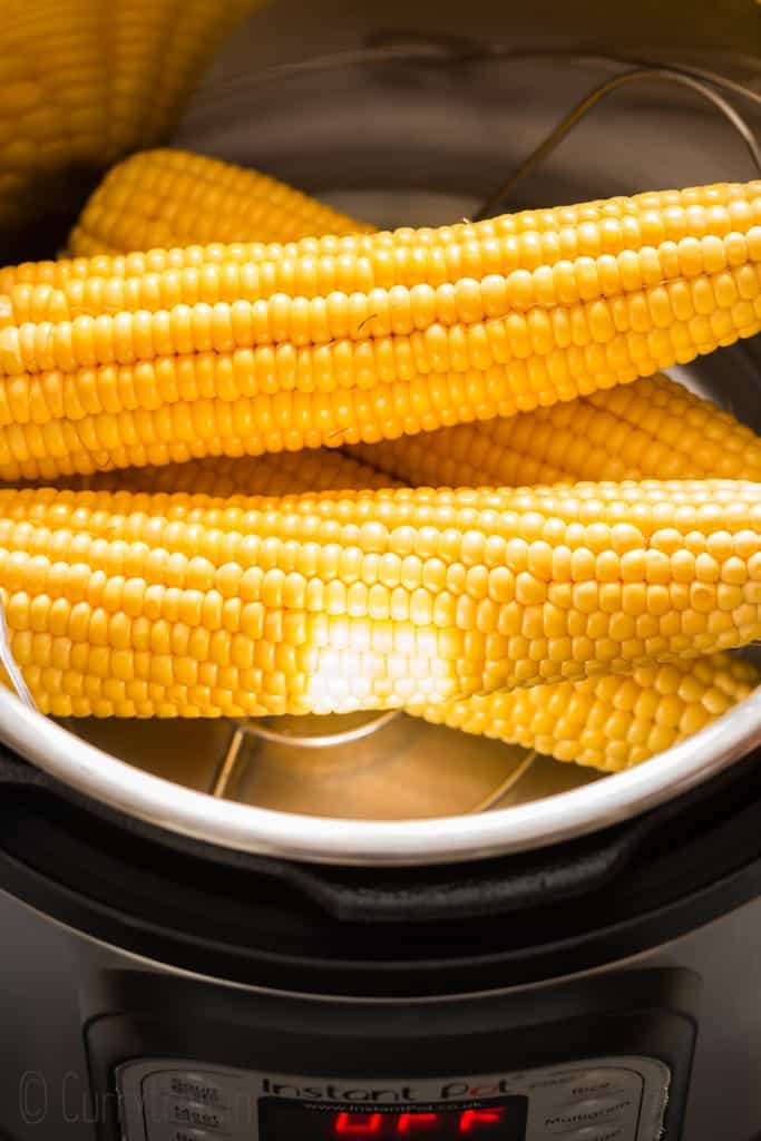 corn on cob ready for instant pot corn on cob recipe