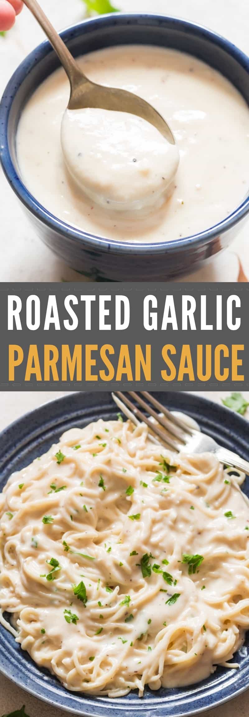 Roasted Garlic Parmesan Sauce Recipe CurryTrail