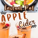 homemade apple cider recipe made in instant pot served in three glasses with text