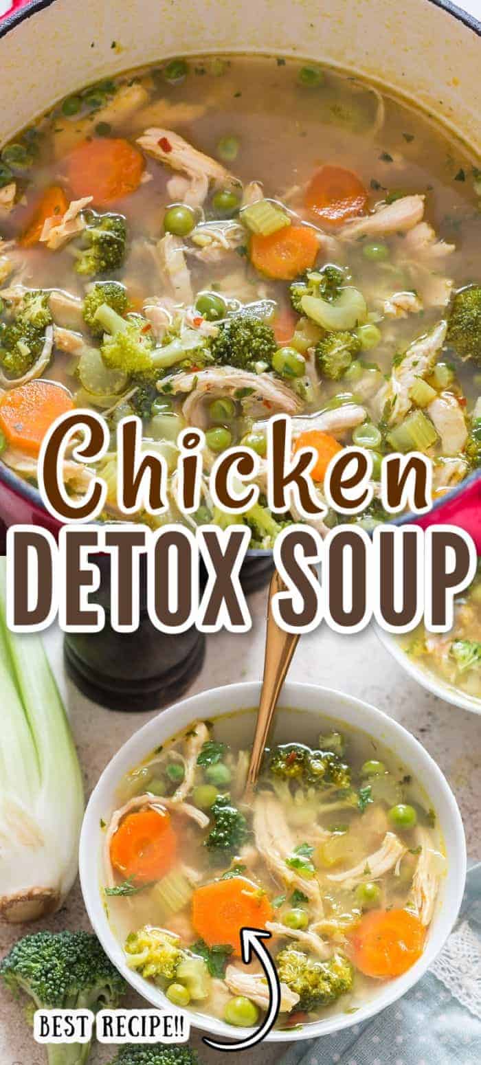 Chicken Detox Soup Recipe [With Video] CurryTrail