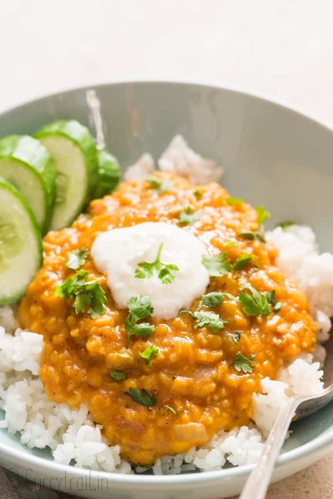 red lentil curry served over bowl of rice and garnish with cilantro